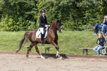 Bild 635 - Pony Akademie Turnier